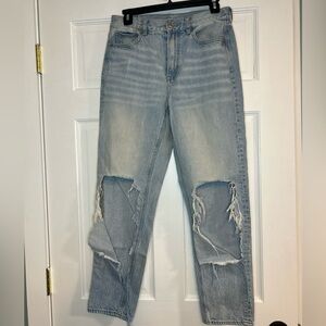 American Eagle Distressed Mom Jean